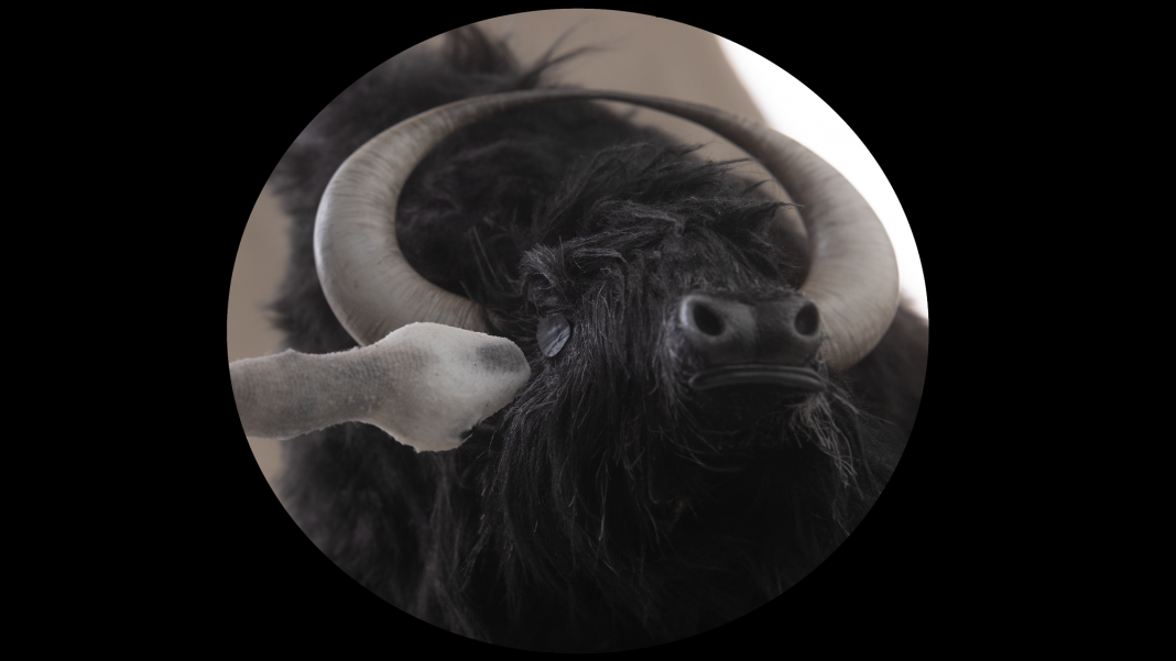 GoCritic! Review: Blessed – Cineuropa