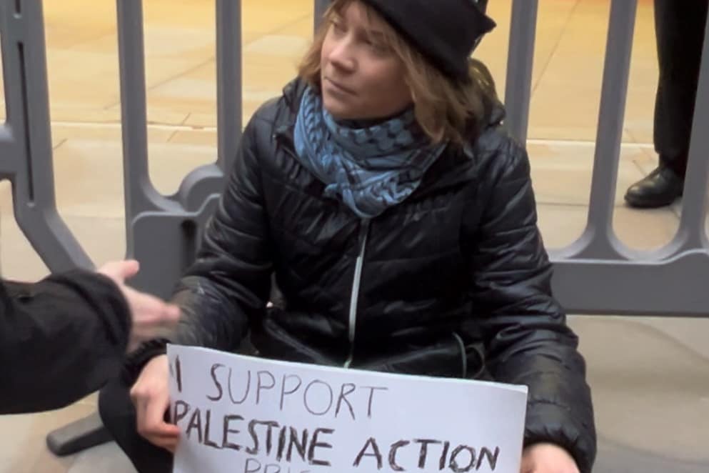 Greta Thunberg arrested in London under the Terrorism Act