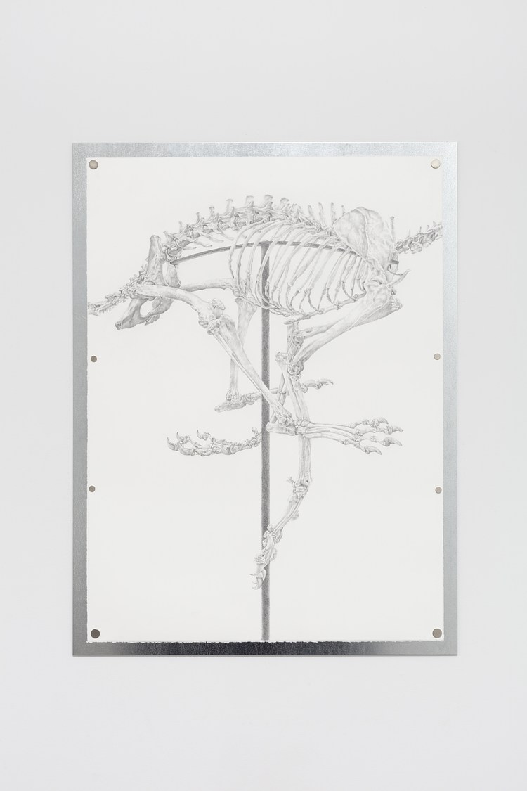 Tanya Brodsky at Gene's Dispensary