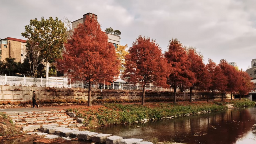 Viltrox 9mm f/2.8 Air: Real-World Pros and Cons