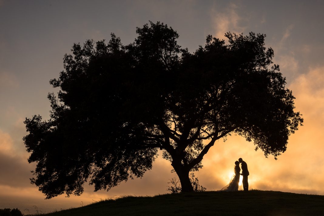 Wedding Photography Pricing | Misconceptions and Facts Wedding Photography Pricing | Misconceptions and Facts