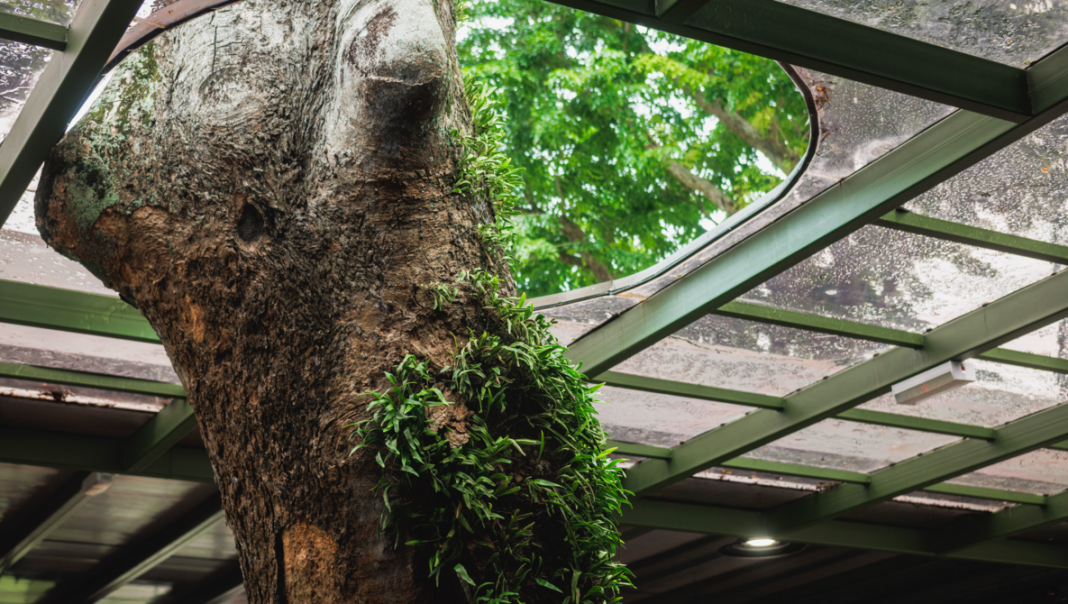 When Does Using Crop Mode Really Make Sense?