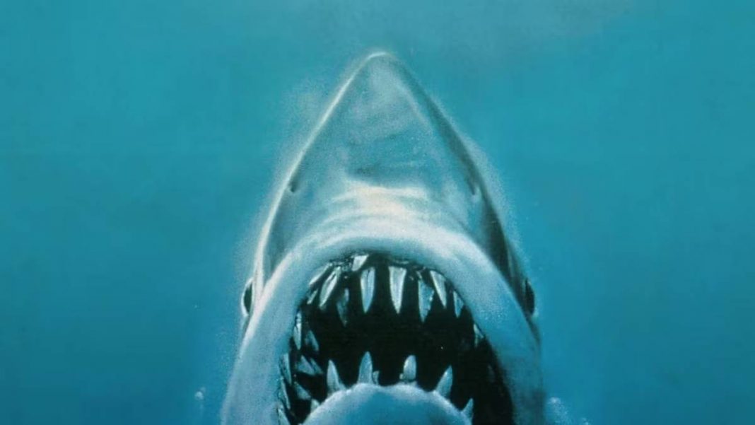 10 Greatest Steven Spielberg Movies Based on Books, Ranked
