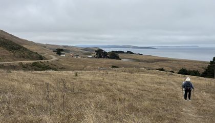 A Stunning Stretch of California's Rugged Coastline Is Now Open to the Public for the First Time in a Century