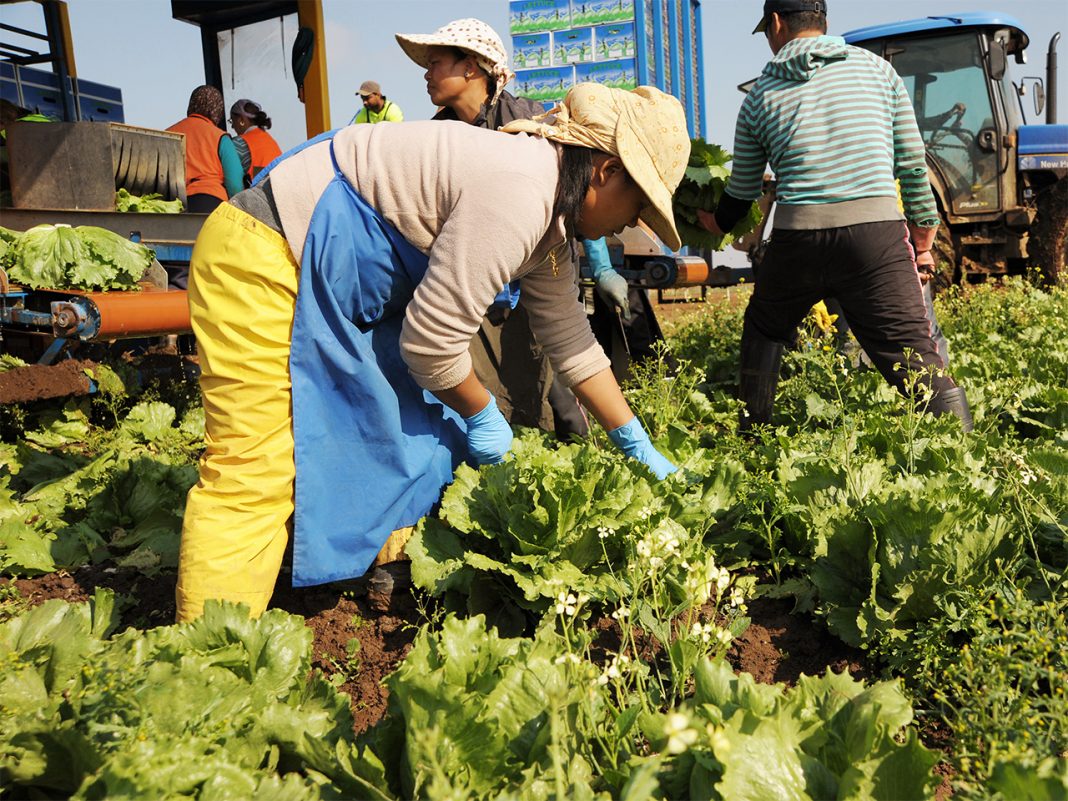 A smart and fair immigration system can help diffuse toxic narratives and bolster national security