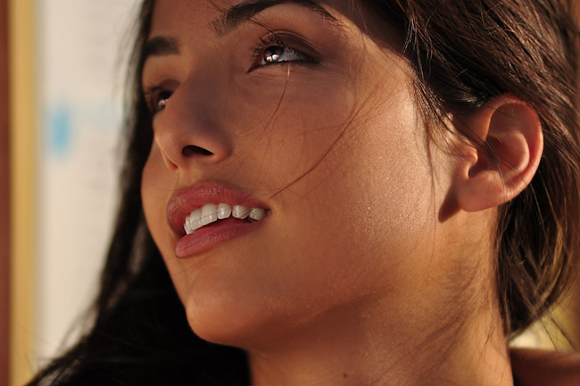 DIY Reflector | 3 Ways to Make Your Own Reflector