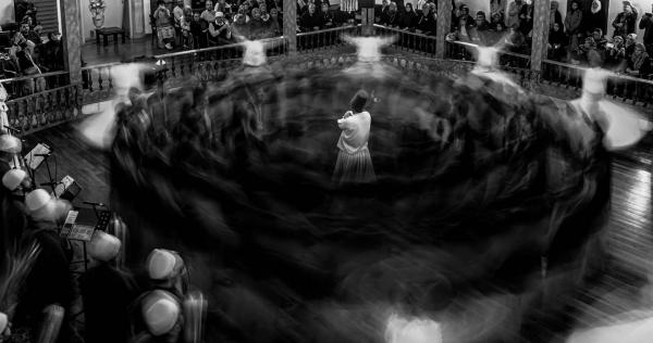 December's Entries of the Week winners December's Entries of the Week winners