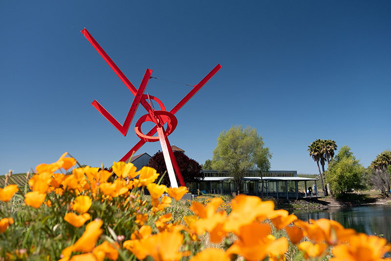 Di Rosa Art Center Lists Estate for $10.9 M. Amid Financial Strife