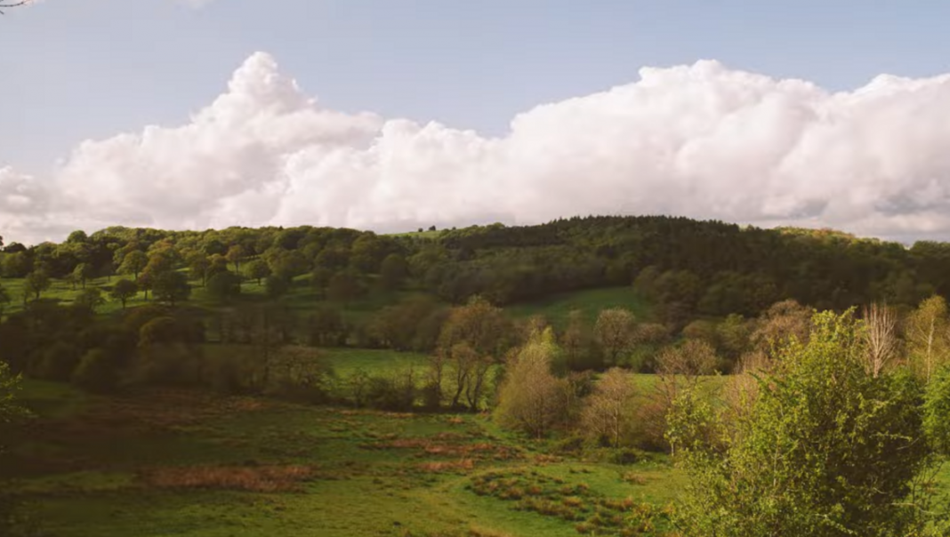 Great Photographers Miss Constantly: That’s the Point