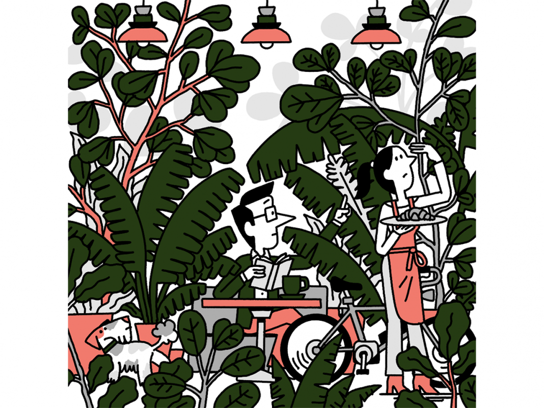 How do you make a great office? Step one, poison the pot plants