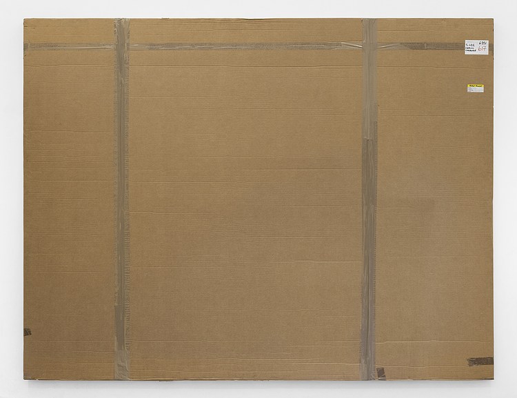 Merlin Carpenter at Diana Contemporary Art Library logo