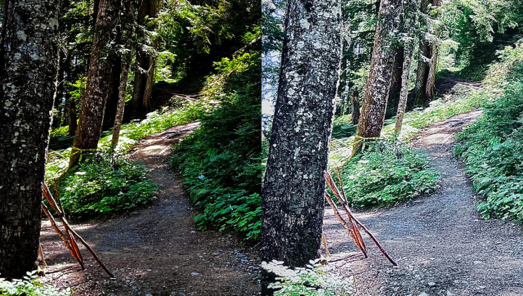 Radiant’s New iOS Camera App Lineup Targets Specific Photography Genres