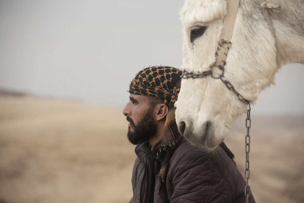 Review: Abele – Cineuropa