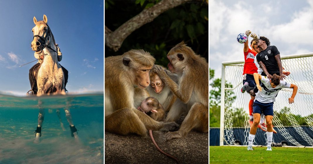 These 10 Up-and-Comers Are Vying to Be ‘Youth Photographer of the Year’