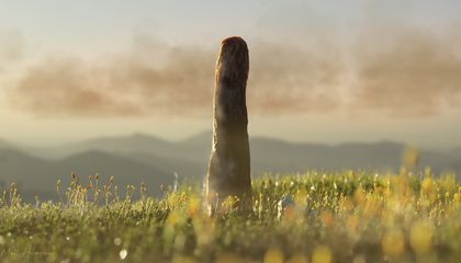 This Mysterious 407-Million-Year-Old Fossil May Represent a Previously Unknown Branch of Life