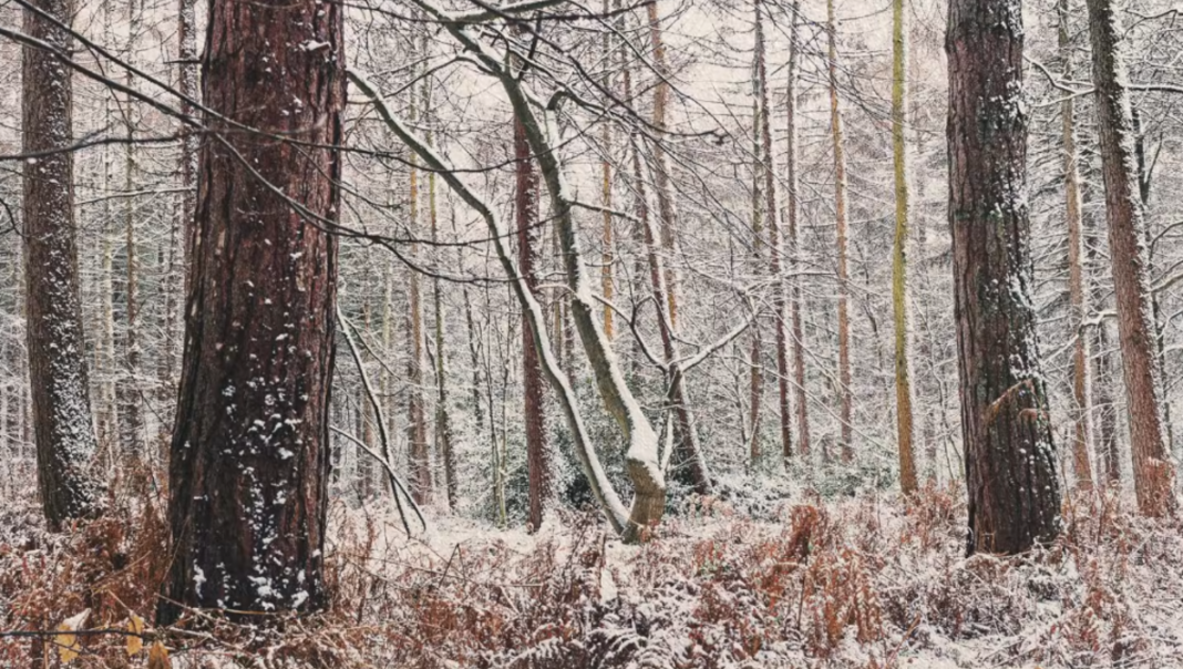 When Everything Turns White: How to Find Structure in Winter Scenes