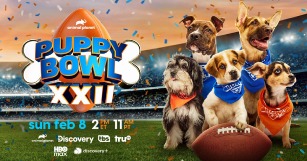 Animal Planet’s Puppy Bowl Has More Dog-Gone Partners Than Ever