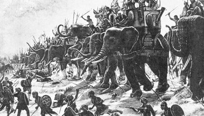 Archaeologists Unearthed a 2,200-Year-Old Bone. They Say It Could Be the First Direct Evidence of Hannibal's Legendary War Elephants