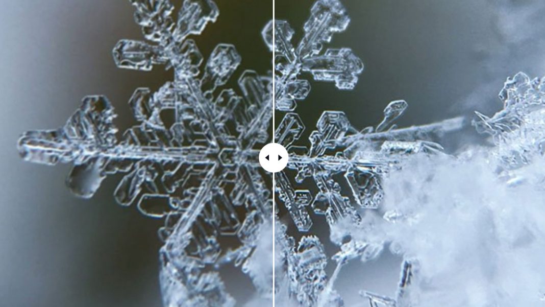 Best Apps to Fix Blurry Photos in 2021 SLR Lounge