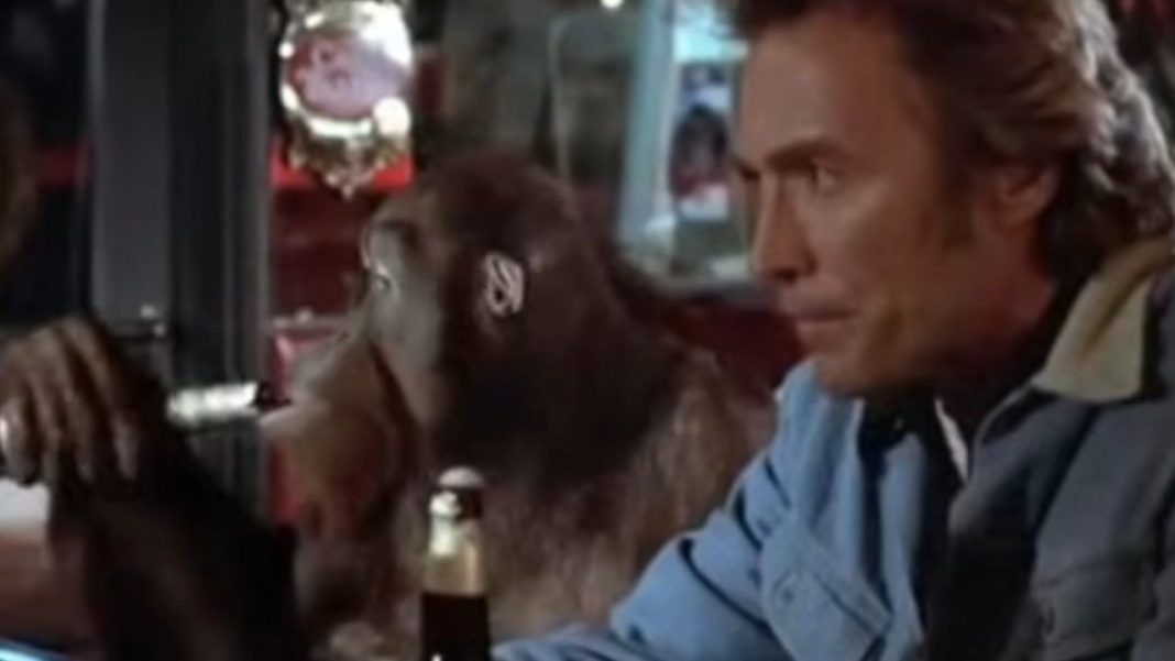 I Finally Watched Clint Eastwood’s Monkey Movie, Every Which Way But Loose, And Liked It! Here’s Why