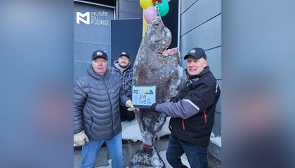 Ice Fishermen Catch Record-Breaking 244-Pound Atlantic Halibut After Hours-Long Struggle