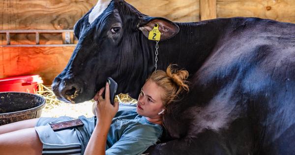 Lifestyle | World Photography Organisation Lifestyle | World Photography Organisation