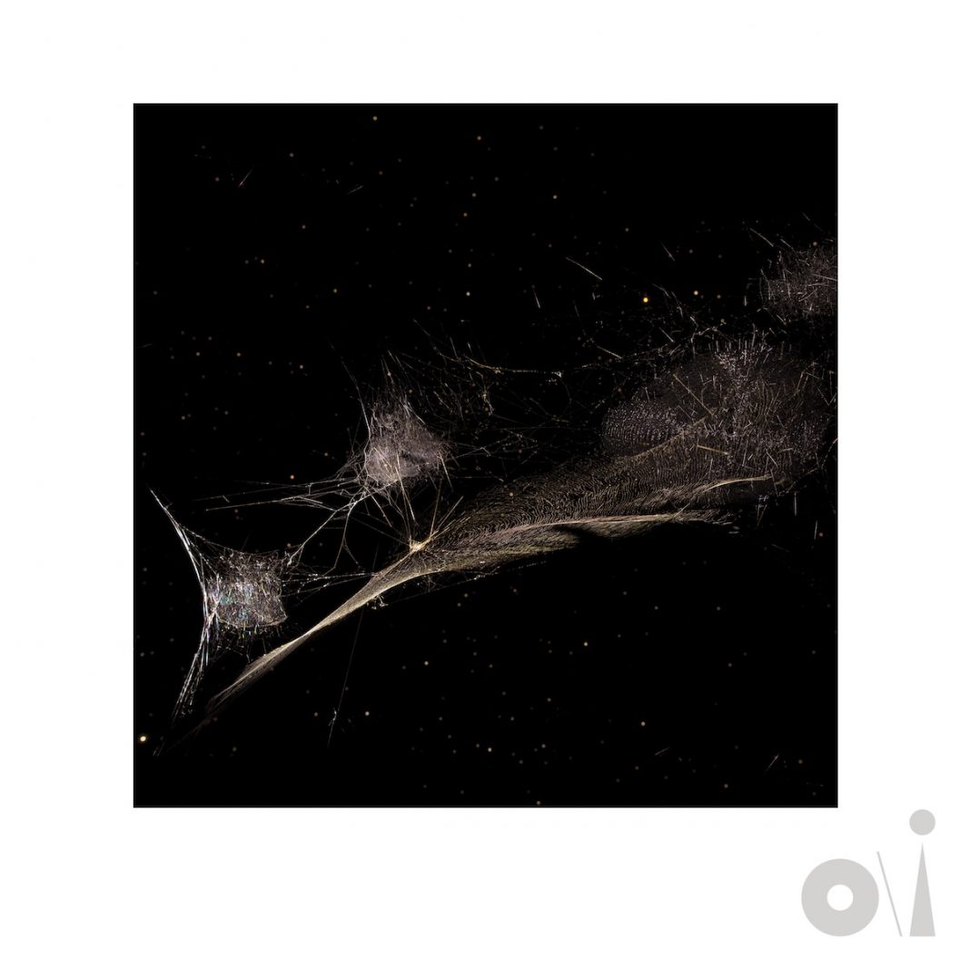 Peter Gabriel – “Put The Bucket Down”