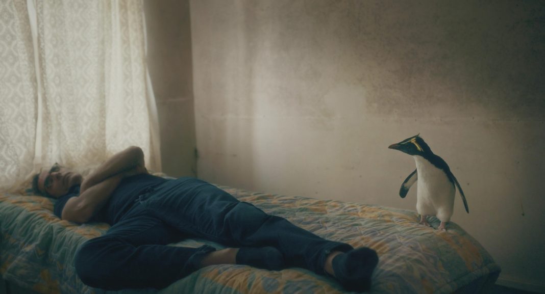 Review: Tristan Forever – Cineuropa