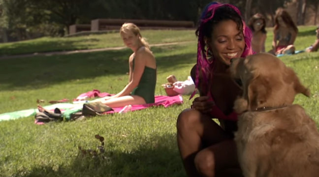 Should You Fall for a Toxic Dog?