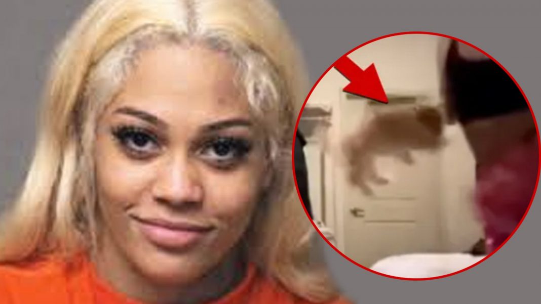 Streamer Aspen Kartier’s Dog Getting Adoption Requests, Placed in Foster Home