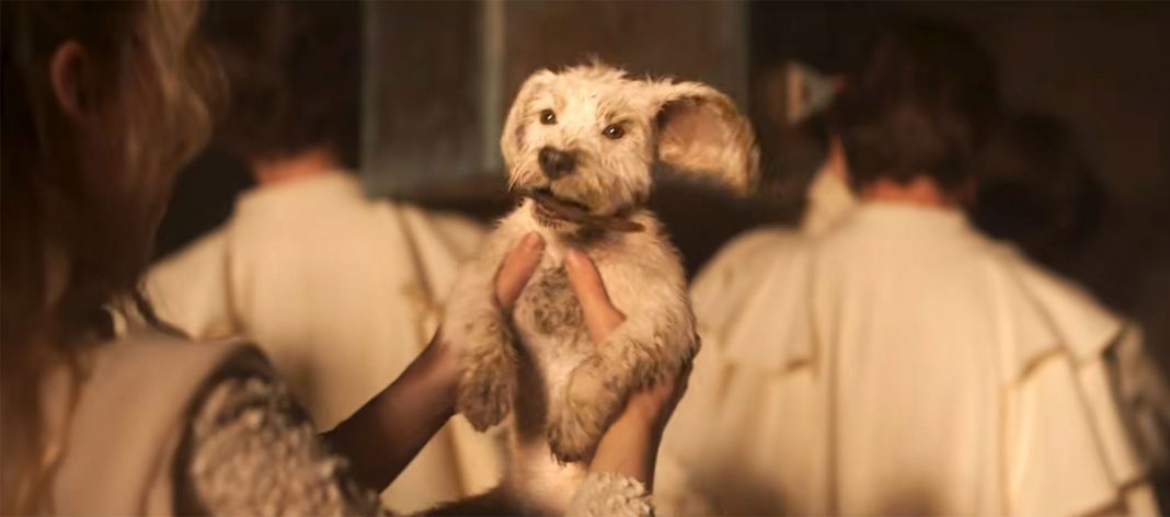 Superdog Super Bowl Spot for DC’s ‘Supergirl’ Movie Out This Summer