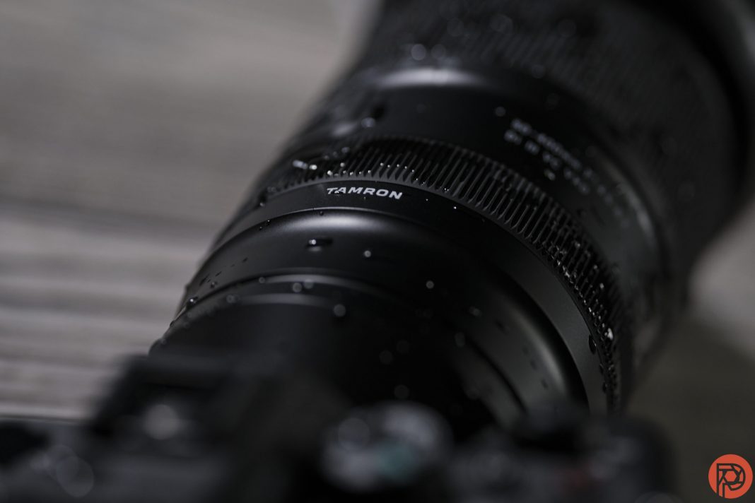 The 3 Best Tamron Lenses for Nikon Wildlife Photographers