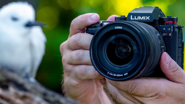 The Early 2026 L-Mount Alliance Report Card: Seven Years In, Is It Working?