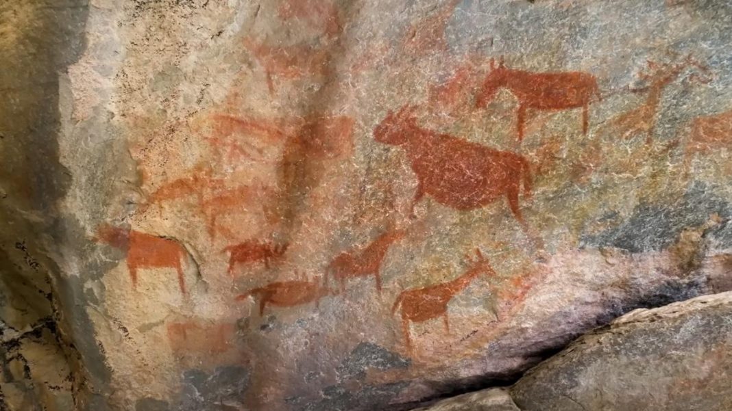 What the ‘Louvre of the desert’ reveals about the human story