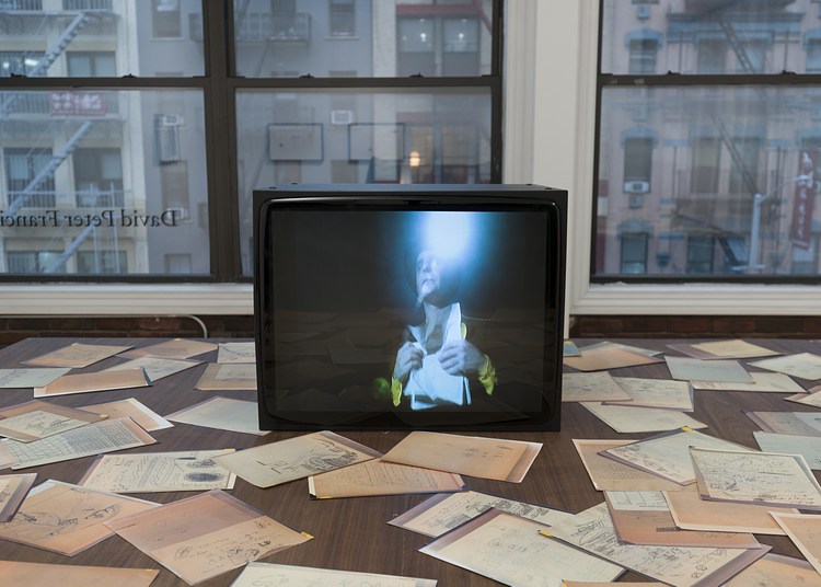 <i>Snake, Turtle, Alligator</i> at David Peter Francis Contemporary Art Library logo