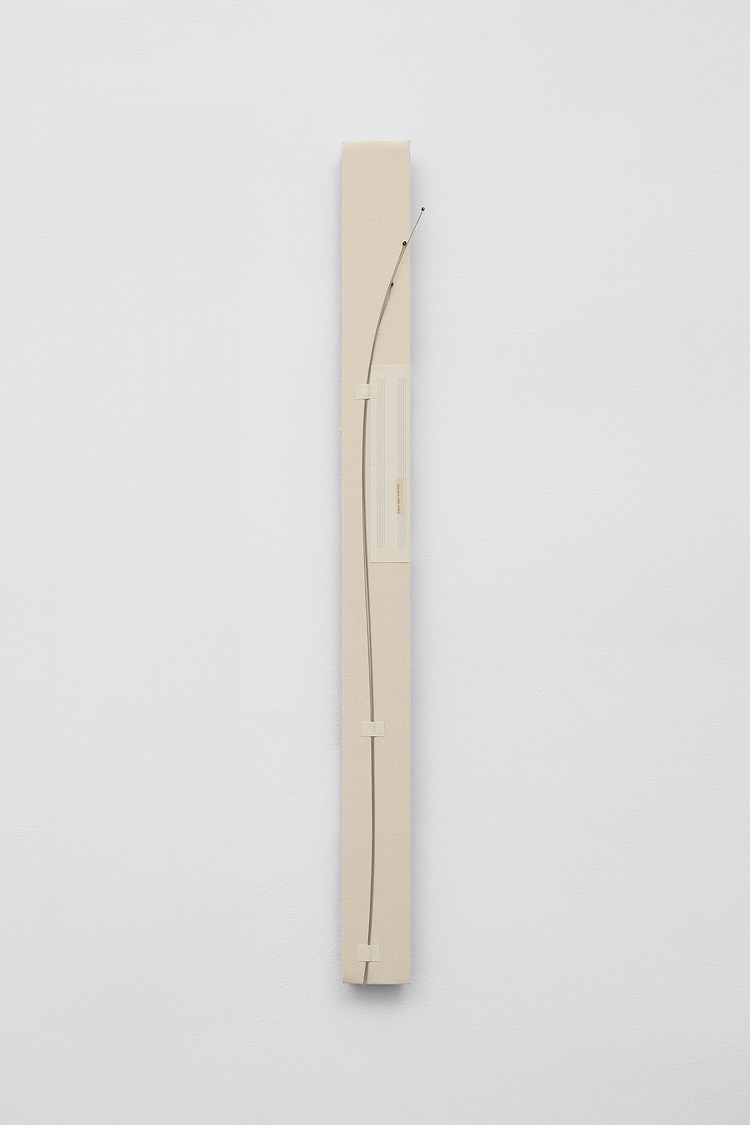 <i>The Main Entrance</i> at LC QUEISSER Contemporary Art Library logo