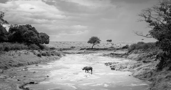 Alpha Female Award 2026 | World Photography Organisation