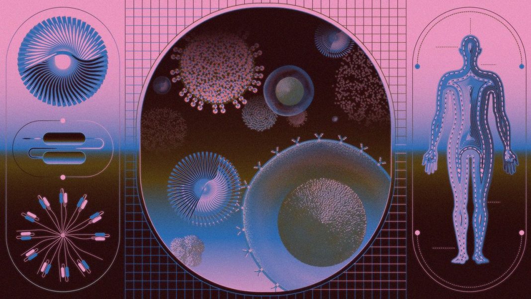 Can a “Living Drug” Cure Autoimmune Diseases?