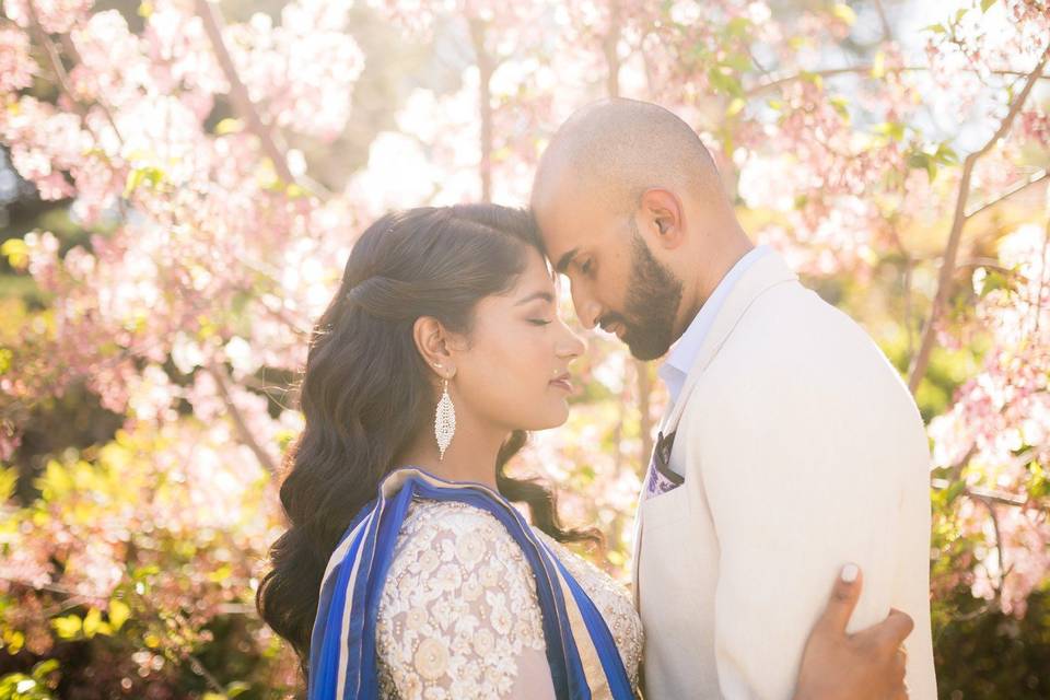 Cherry Blossom Photoshoot Tips | Capturing the Beauty of Spring