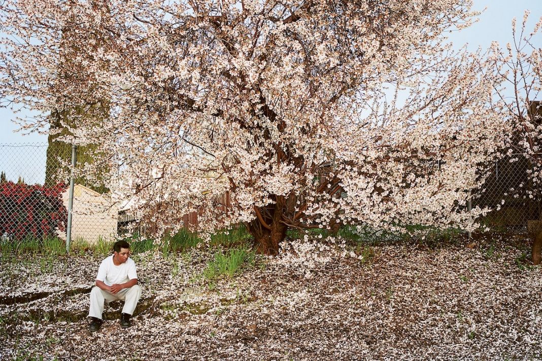 Life lessons from the legendary photographer Larry Sultan