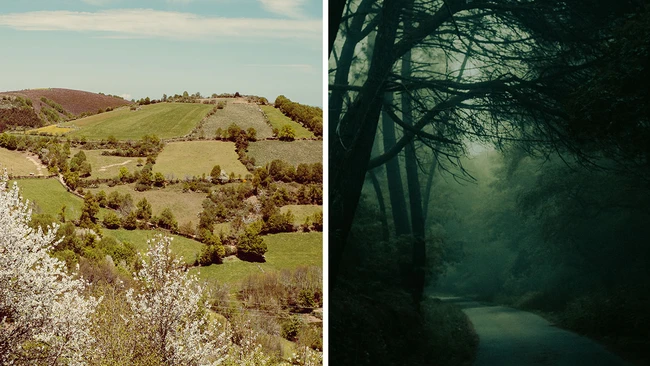 Photography’s Biggest Mistake: Chasing Aesthetics Over Feeling