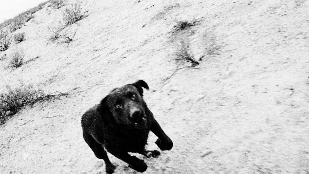 Stephen Shore, Ryan McGinley’s Xeroxes in “Hard Copy New York”