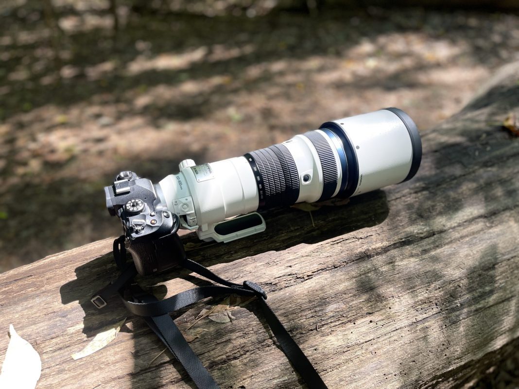 The Best OM System Lenses for Bird Photography A professional camera with a large telephoto lens resting on a sunlit wooden log outdoors.