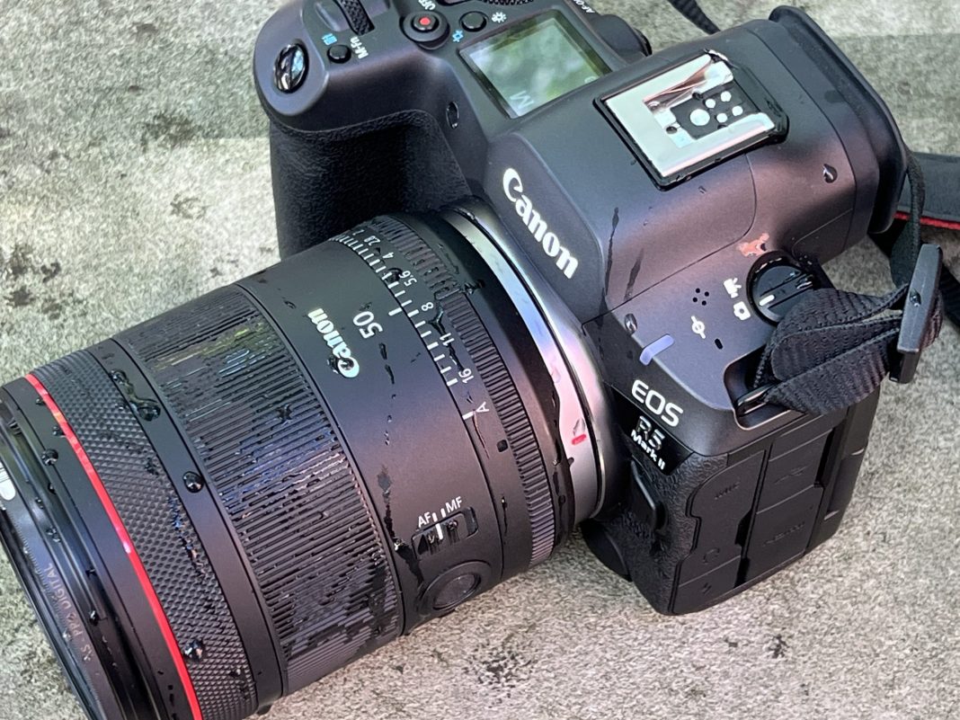 The Canon RF50mm F1.4 L VCM can handle a little weather, so don't be afraid to put it to work.