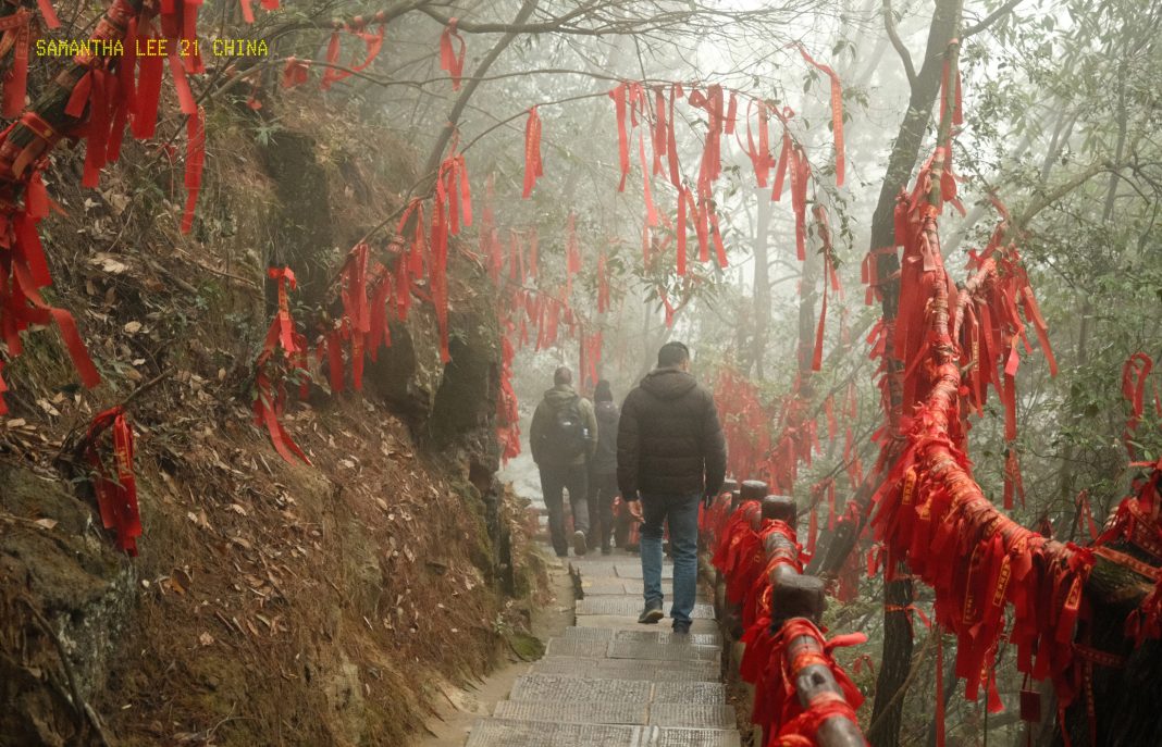 Your February 2026 in Photos